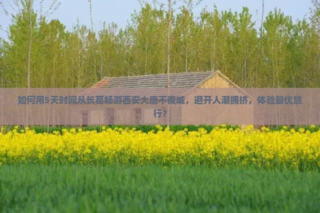 如何用5天时间从长葛畅游西安大唐不夜城，避开人潮拥挤，体验最优旅行？