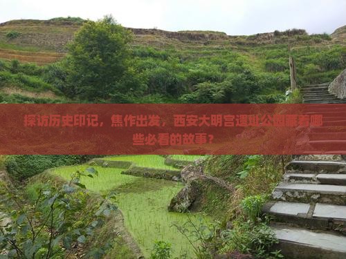 探访历史印记，焦作出发，西安大明宫遗址公园藏着哪些必看的故事？
