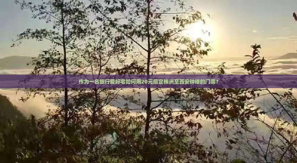 作为一名旅行爱好宅如何用20元搞定株洲至西安钟楼的门票？