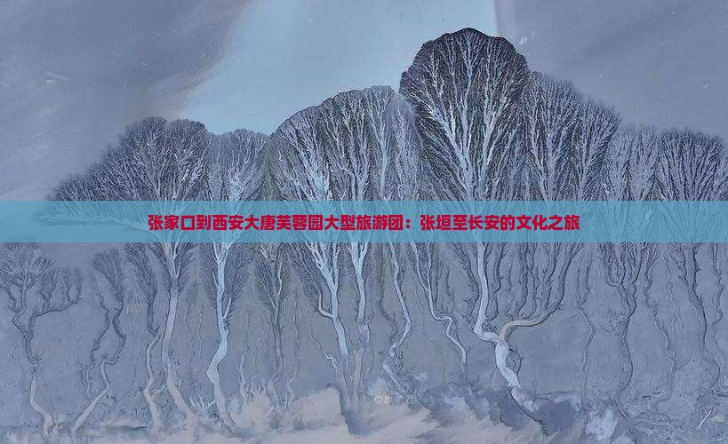张家口到西安大唐芙蓉园大型旅游团：张垣至长安的文化之旅