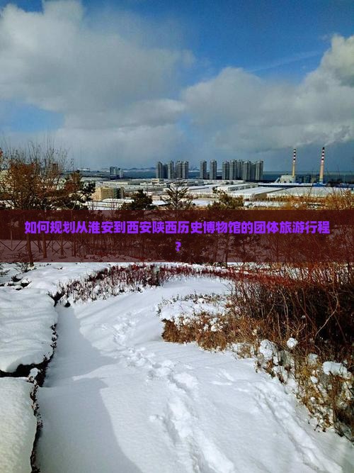 如何规划从淮安到西安陕西历史博物馆的团体旅游行程？