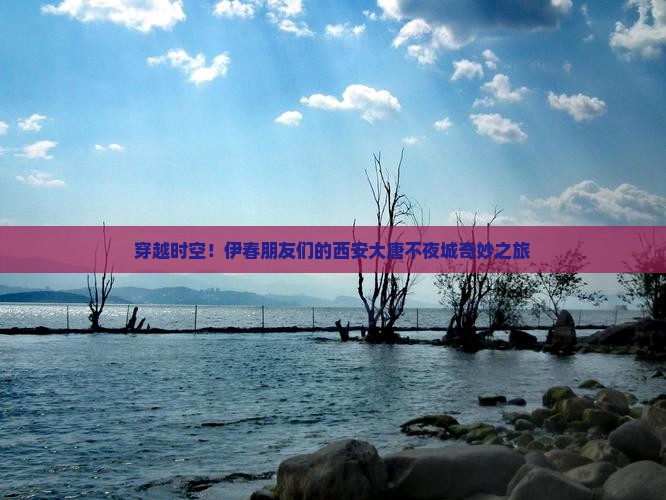 穿越时空！伊春朋友们的西安大唐不夜城奇妙之旅