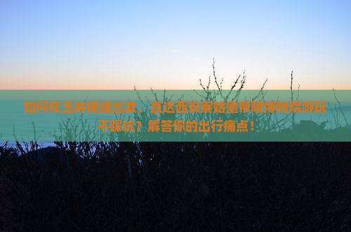 如何在玉林便捷出发，直达西安秦始皇帝陵博物院游玩不踩坑？解答你的出行痛点！