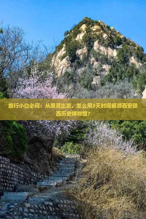 旅行小白必问：从鹰潭出发，怎么用3天时间畅游西安陕西历史博物馆？