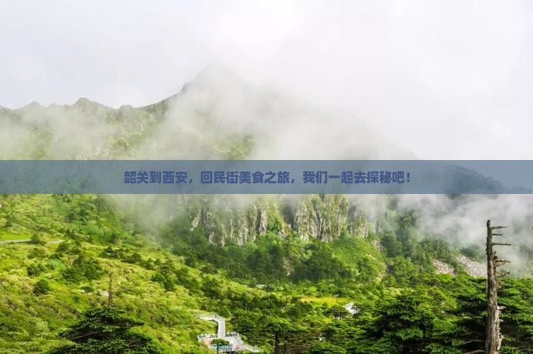 韶关到西安，回民街美食之旅，我们一起去探秘吧！