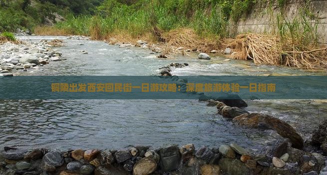铜陵出发西安回民街一日游攻略：深度旅游体验一日指南