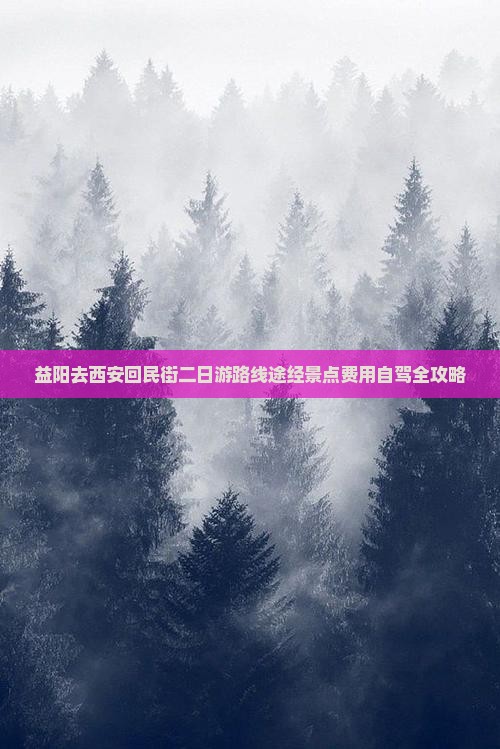益阳去西安回民街二日游路线途经景点费用自驾全攻略
