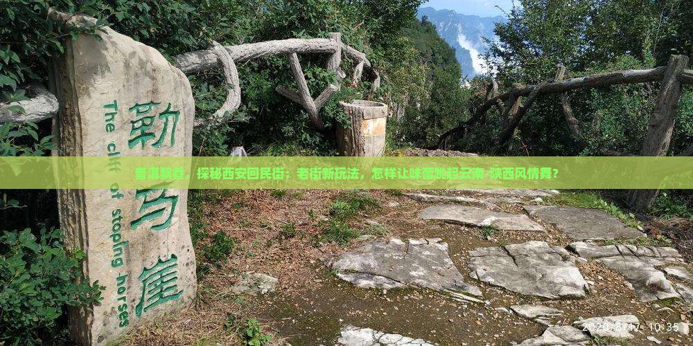 普洱飘香，探秘西安回民街：老街新玩法，怎样让味蕾跳起云南-陕西风情舞？