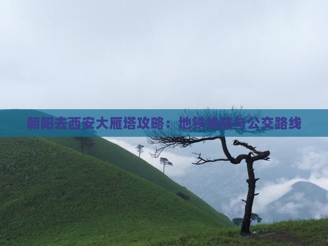 朝阳去西安大雁塔攻略：地铁线路与公交路线