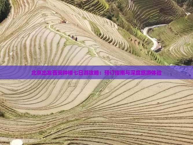北京出发西安钟楼七日游攻略：预订指南与深度旅游体验