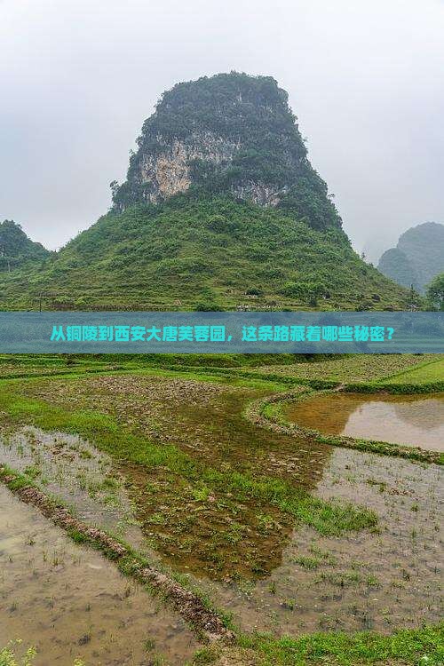 从铜陵到西安大唐芙蓉园，这条路藏着哪些秘密？