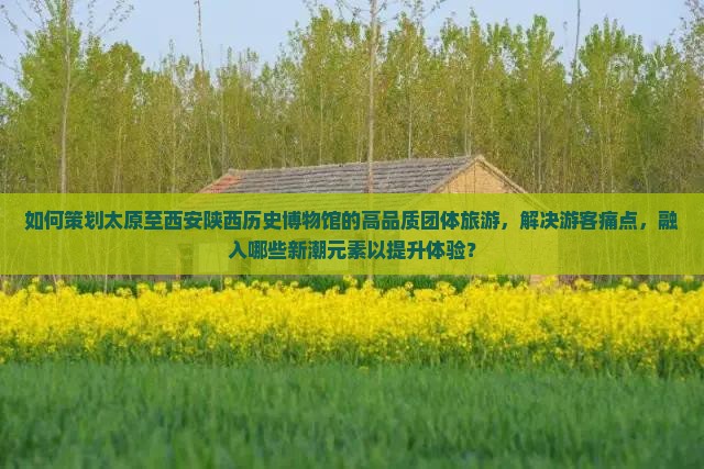 如何策划太原至西安陕西历史博物馆的高品质团体旅游，解决游客痛点，融入哪些新潮元素以提升体验？