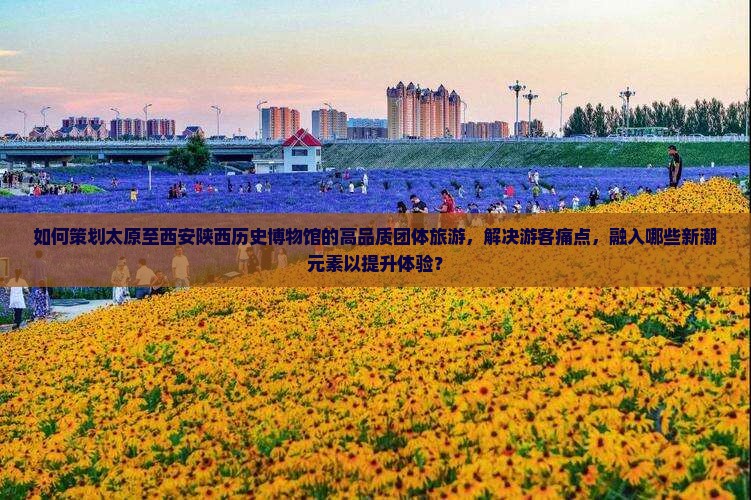 如何策划太原至西安陕西历史博物馆的高品质团体旅游，解决游客痛点，融入哪些新潮元素以提升体验？