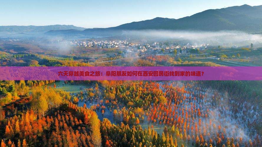 六天穿越美食之旅：阜阳朋友如何在西安回民街找到家的味道？