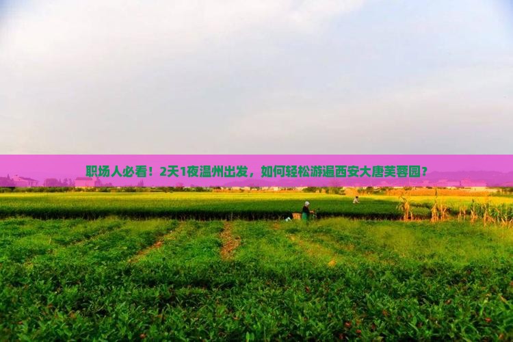 职场人必看！2天1夜温州出发，如何轻松游遍西安大唐芙蓉园？