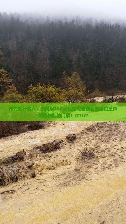 作为旅行达人，如何用200元搞定龙岩到西安秦始皇帝陵博物院的门票？??????