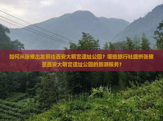 如何从张掖出发前往西安大明宫遗址公园？哪些旅行社提供张掖至西安大明宫遗址公园的旅游服务？