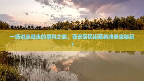 一场说走就走的垦利之旅，西安回民街藏着啥美食秘籍？