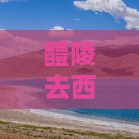 醴陵去西安大唐不夜城团体旅游报价及路线
