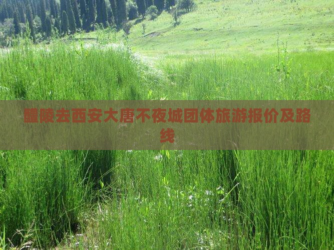醴陵去西安大唐不夜城团体旅游报价及路线