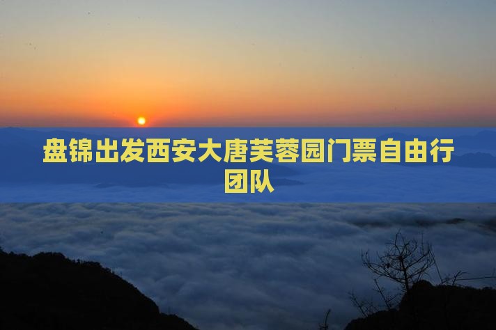 盘锦出发西安大唐芙蓉园门票自由行团队