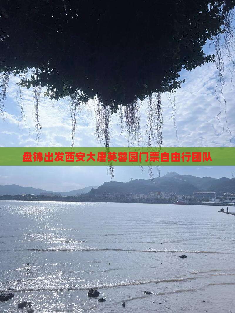盘锦出发西安大唐芙蓉园门票自由行团队