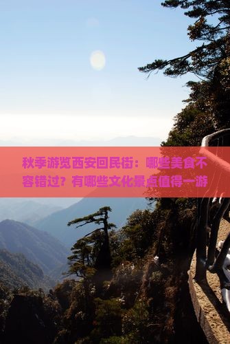 秋季游览西安回民街：哪些美食不容错过？有哪些文化景点值得一游？