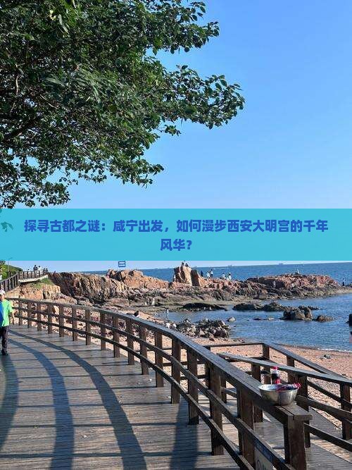 探寻古都之谜：咸宁出发，如何漫步西安大明宫的千年风华？