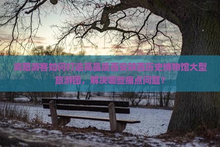 资阳游客如何打造高品质西安陕西历史博物馆大型旅游团，解决哪些痛点问题？