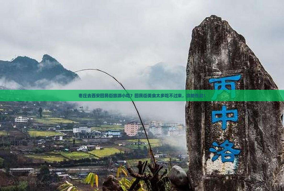枣庄去西安回民街旅游小吃？回民街美食太多吃不过来，攻略在此！