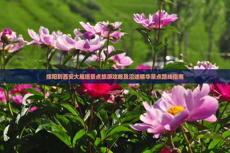 绵阳到西安大雁塔景点旅游攻略及沿途精华景点路线指南