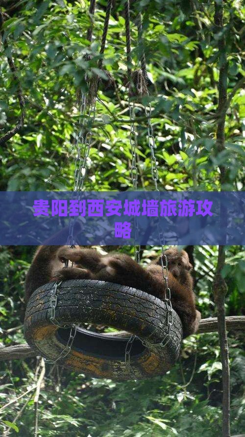 贵阳到西安城墙旅游攻略