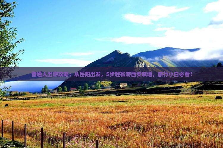 普通人出游攻略：从岳阳出发，5步轻松游西安城墙，旅行小白必看！