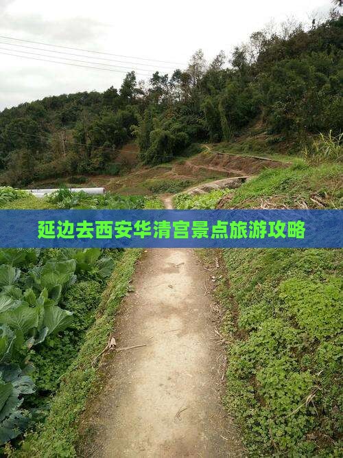 延边去西安华清宫景点旅游攻略