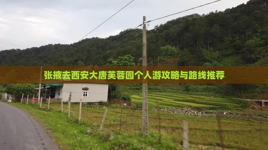 张掖去西安大唐芙蓉园个人游攻略与路线推荐
