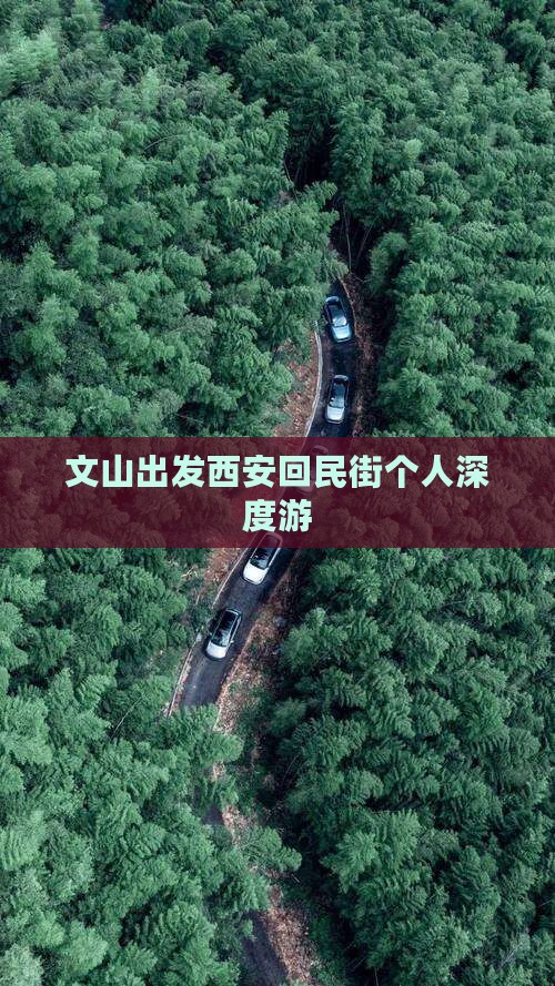 文山出发西安回民街个人深度游