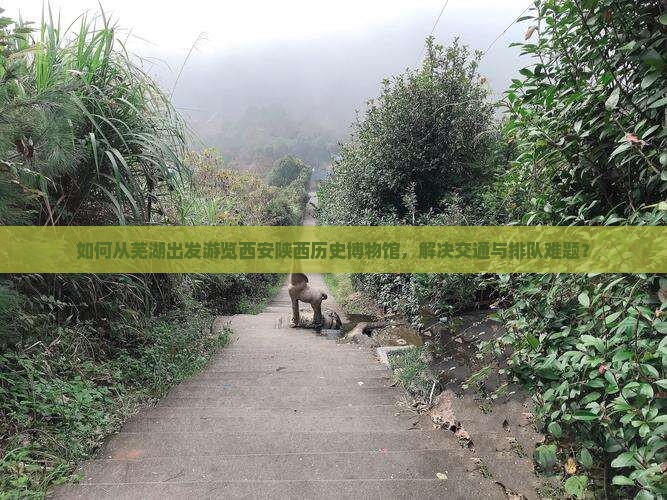 如何从芜湖出发游览西安陕西历史博物馆，解决交通与排队难题？