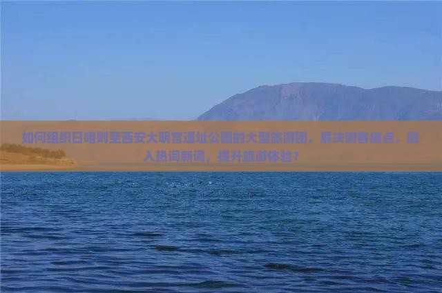 如何组织日喀则至西安大明宫遗址公园的大型旅游团，解决游客痛点，融入热词新词，提升旅游体验？