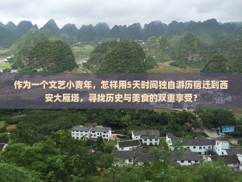 作为一个文艺小青年，怎样用5天时间独自游历宿迁到西安大雁塔，寻找历史与美食的双重享受？