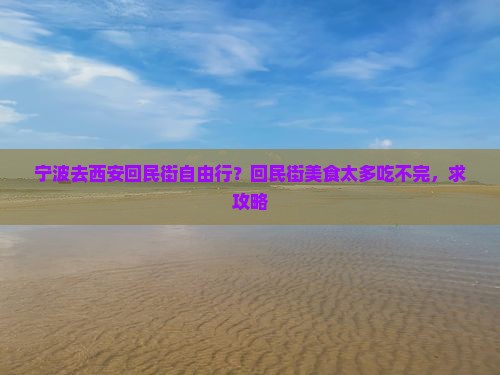 宁波去西安回民街自由行？回民街美食太多吃不完，求攻略