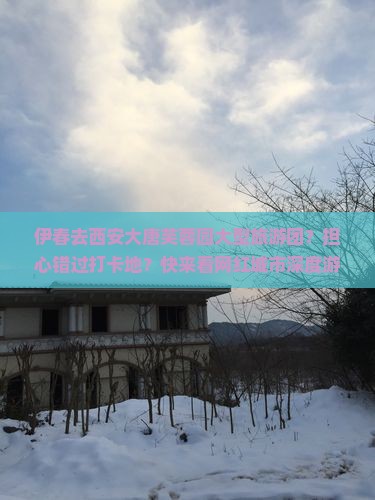 伊春去西安大唐芙蓉园大型旅游团？担心错过打卡地？快来看网红城市深度游攻略！