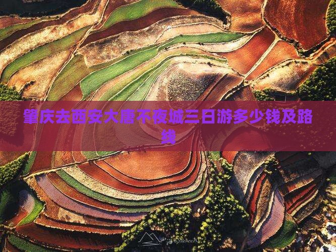 肇庆去西安大唐不夜城三日游多少钱及路线