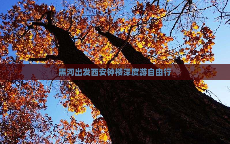 黑河出发西安钟楼深度游自由行