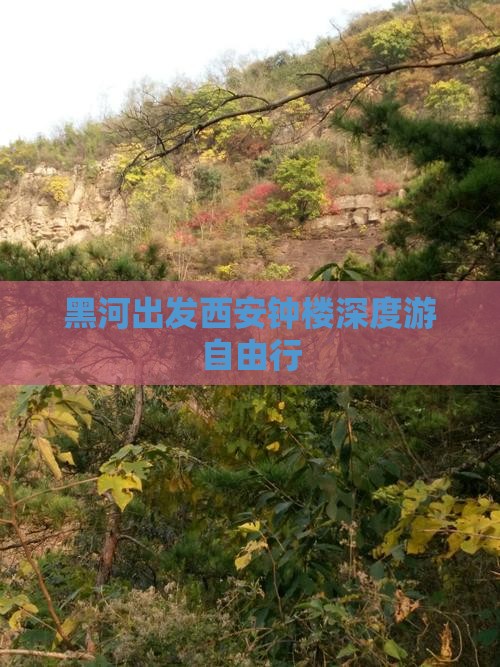 黑河出发西安钟楼深度游自由行