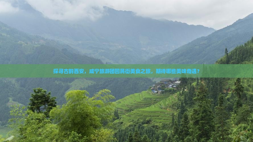 探寻古韵西安，咸宁旅游团回民街美食之旅，期待哪些美味奇遇？