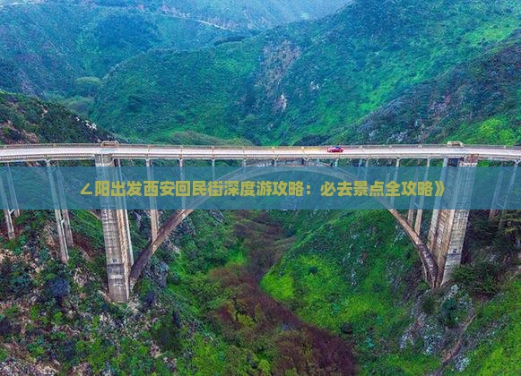 ∠阳出发西安回民街深度游攻略：必去景点全攻略》