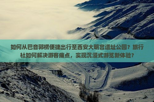 如何从巴音郭楞便捷出行至西安大明宫遗址公园？旅行社如何解决游客痛点，实现沉浸式游览新体验？