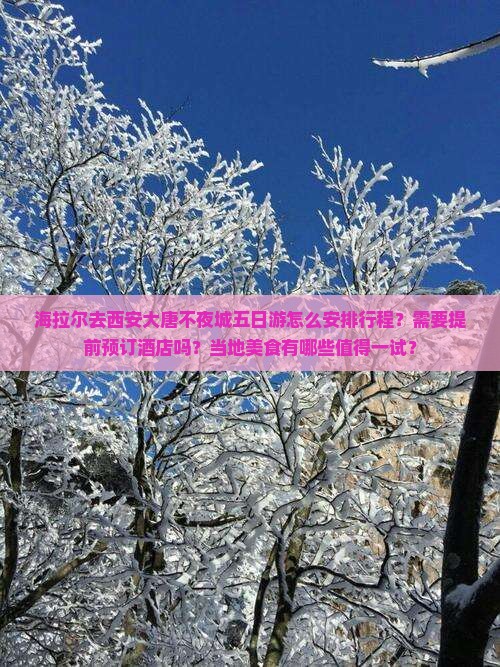 海拉尔去西安大唐不夜城五日游怎么安排行程？需要提前预订酒店吗？当地美食有哪些值得一试？