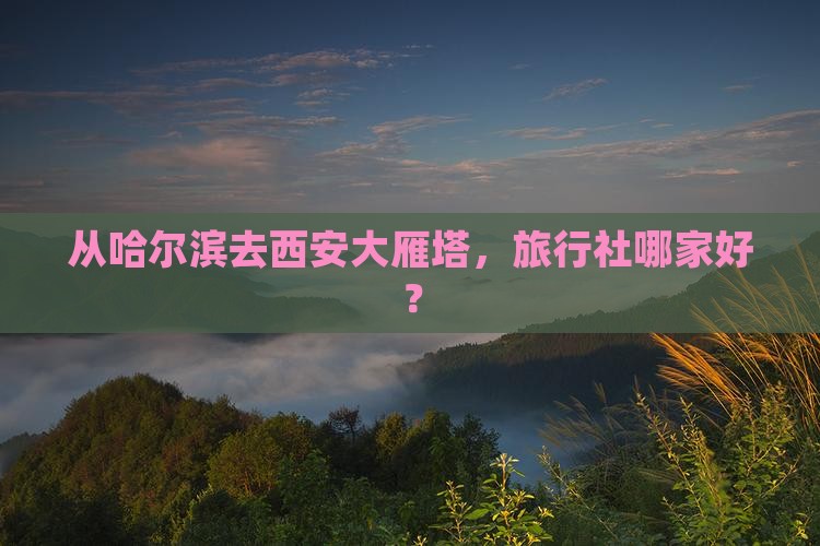 从哈尔滨去西安大雁塔，旅行社哪家好？