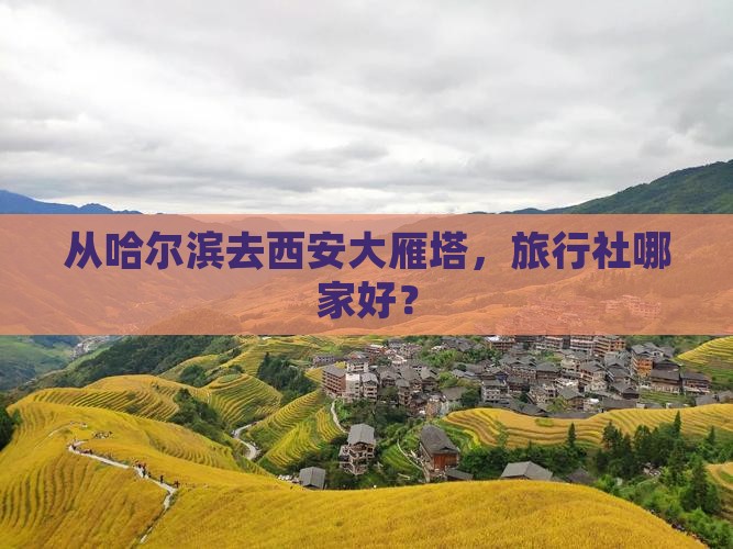 从哈尔滨去西安大雁塔，旅行社哪家好？